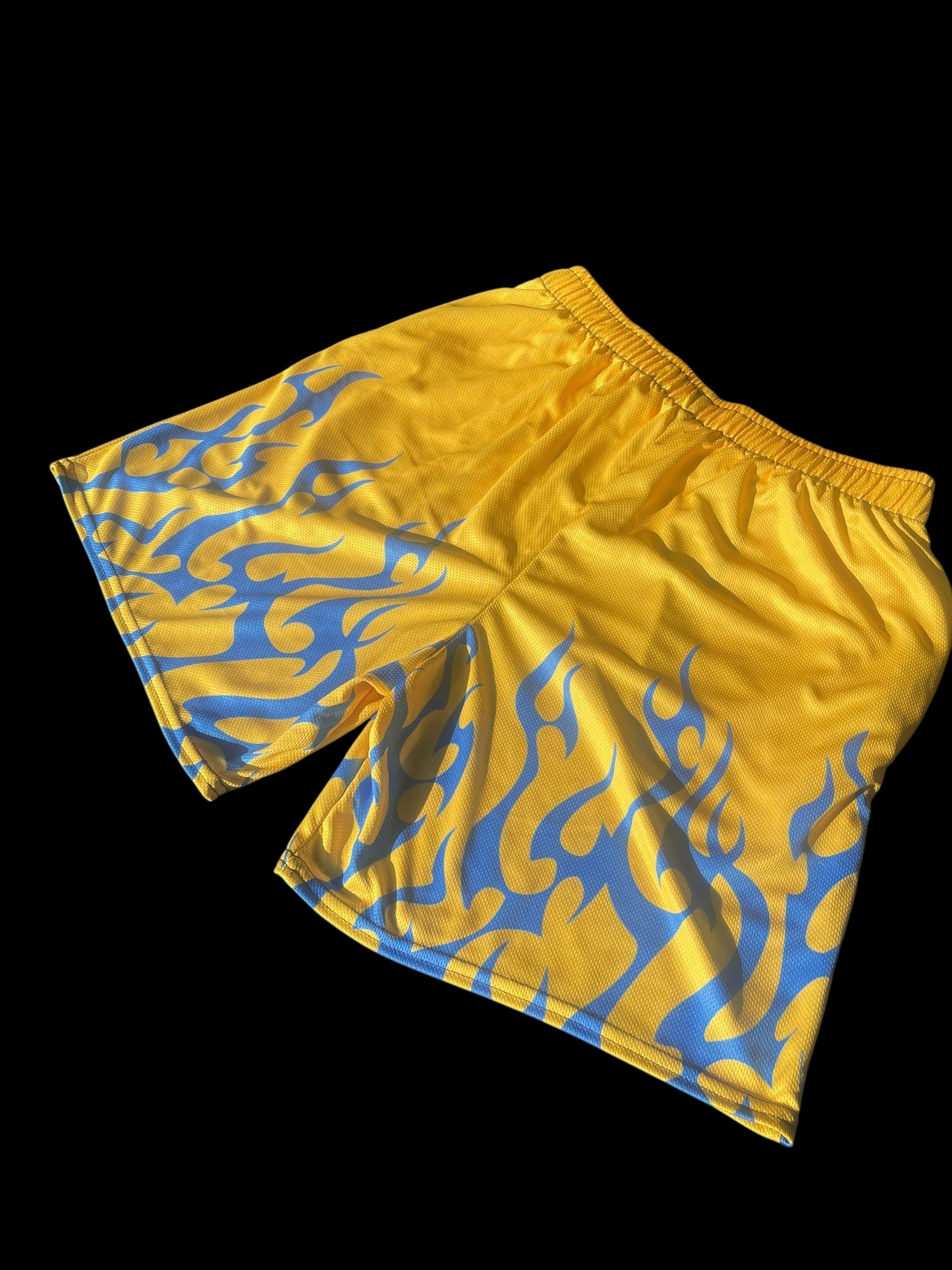 FlameLyfe Shorts
