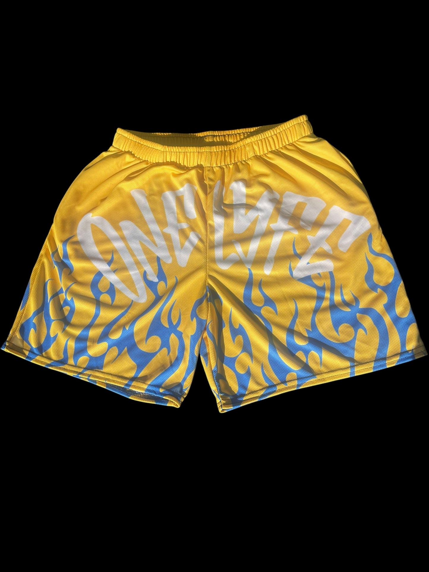 FlameLyfe Shorts