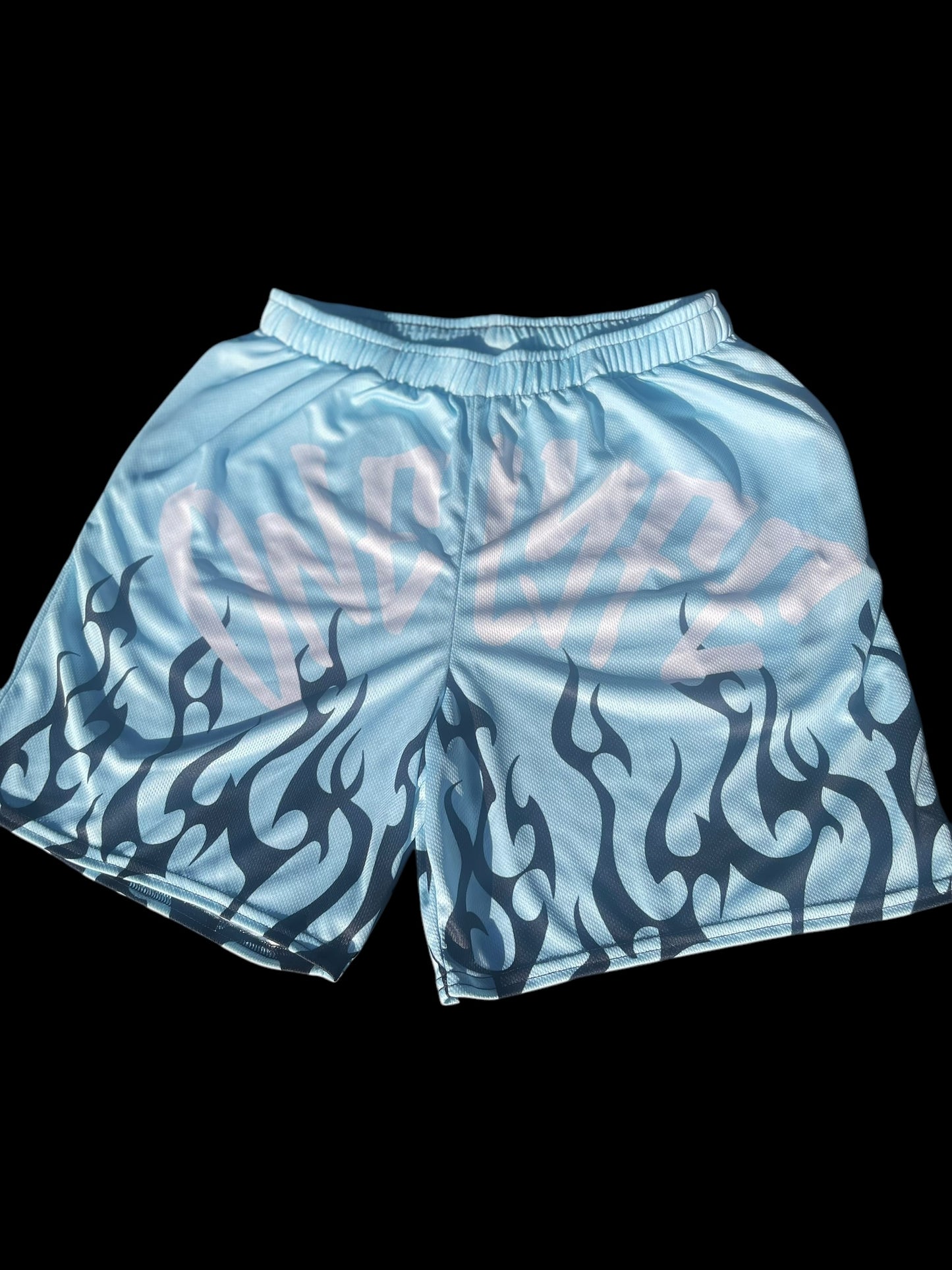 FlameLyfe Shorts