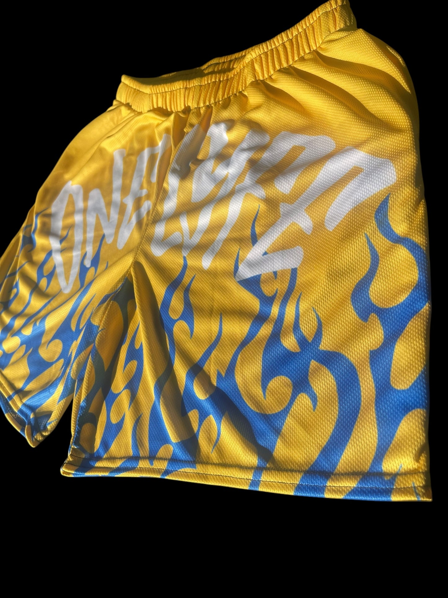 FlameLyfe Shorts