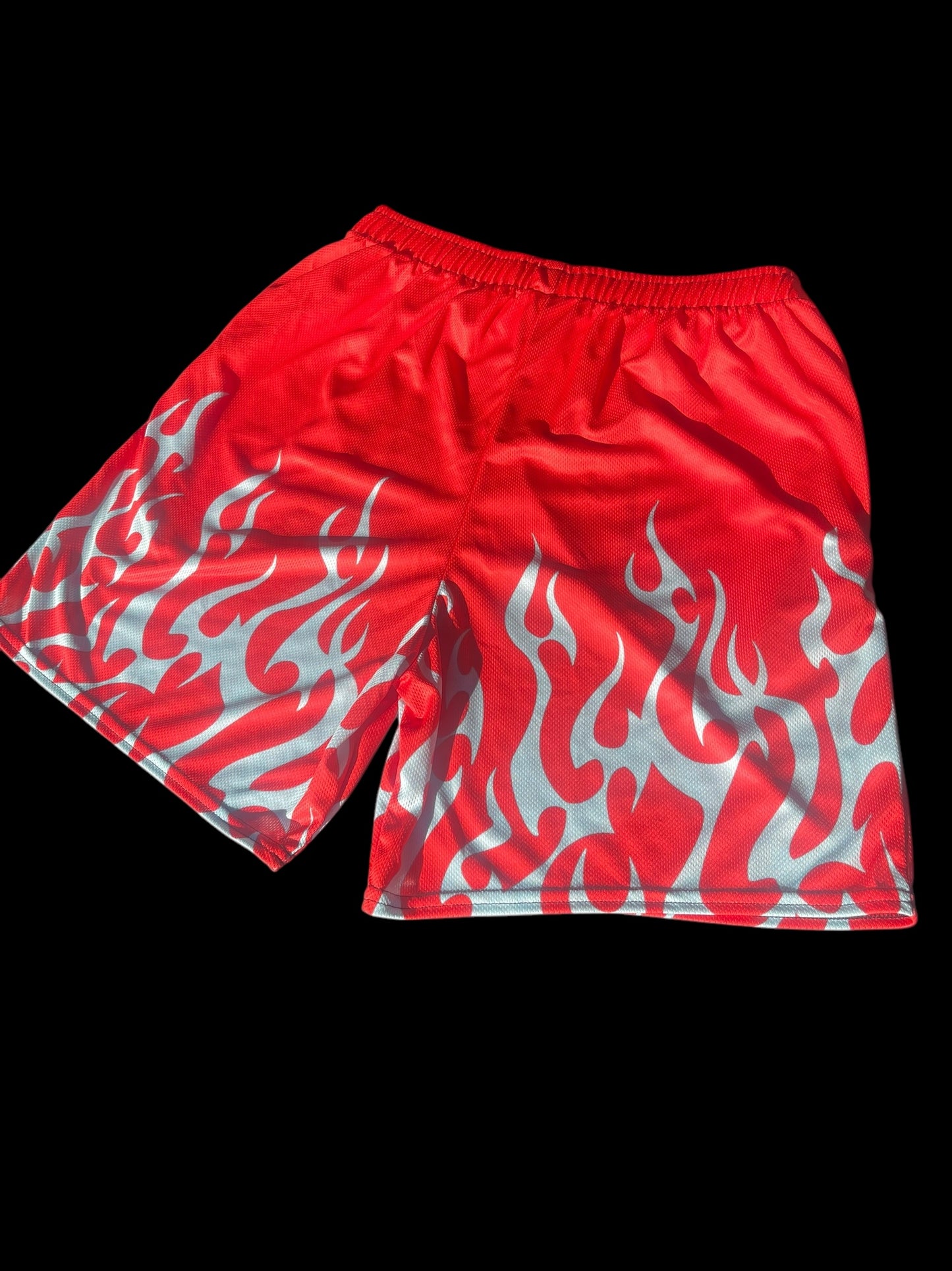 FlameLyfe Shorts