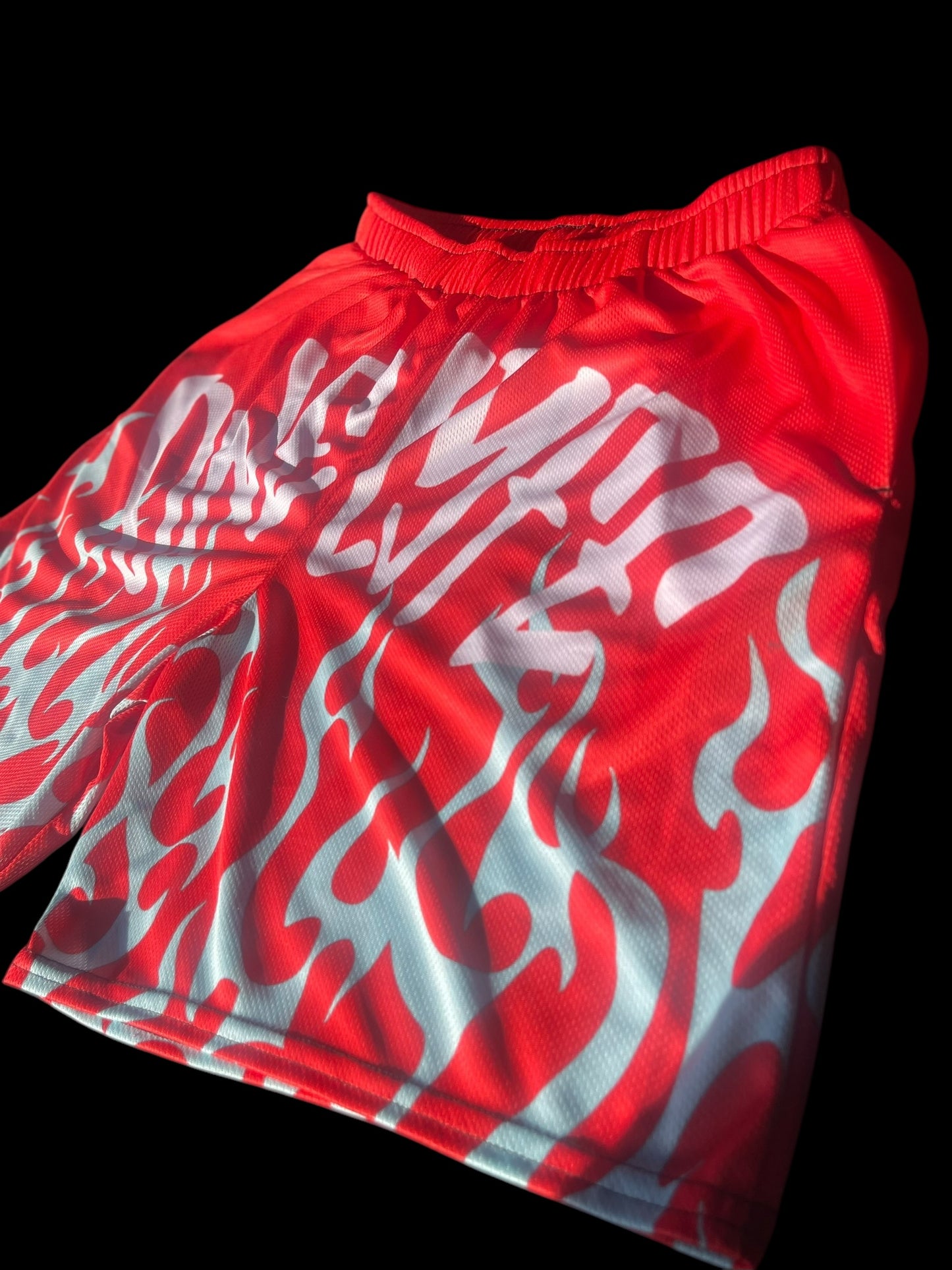 FlameLyfe Shorts