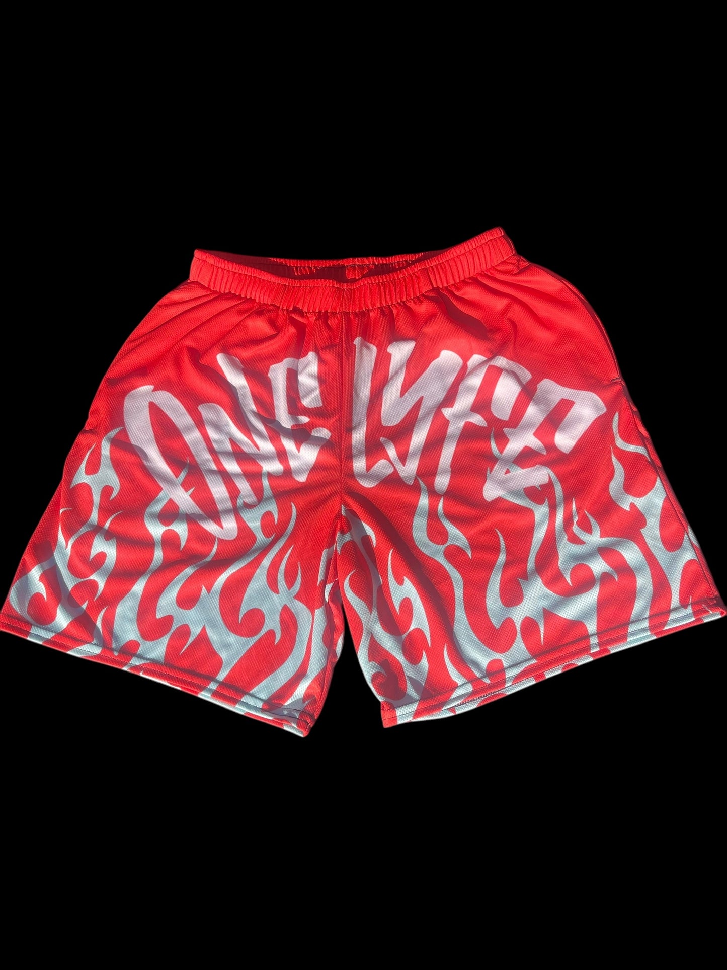 FlameLyfe Shorts